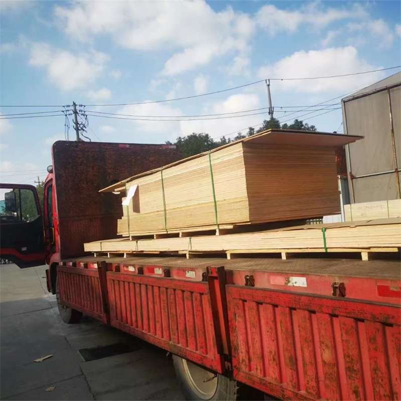 惠东到河北物流公司——一站式服务，让货运更便捷